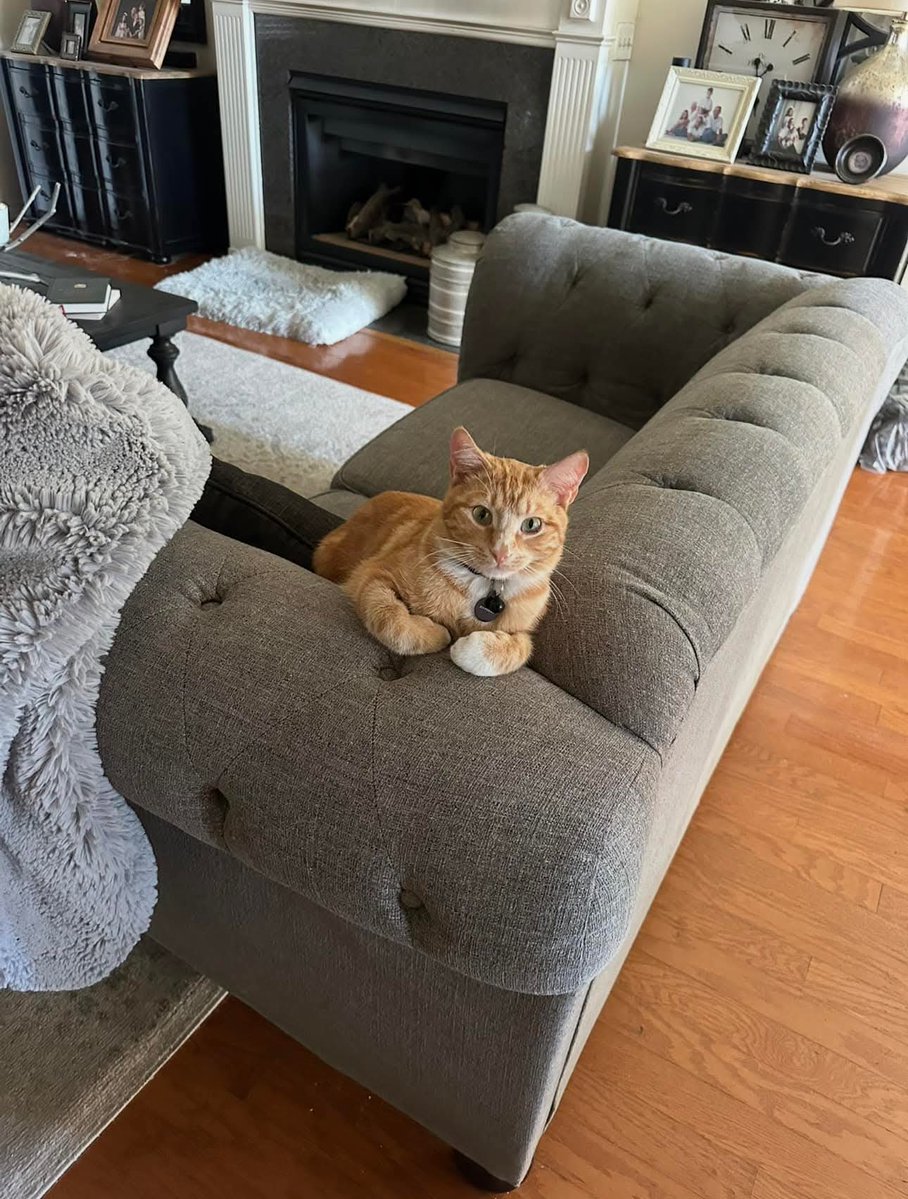 Sara Mary ⭐❤️ tweet media