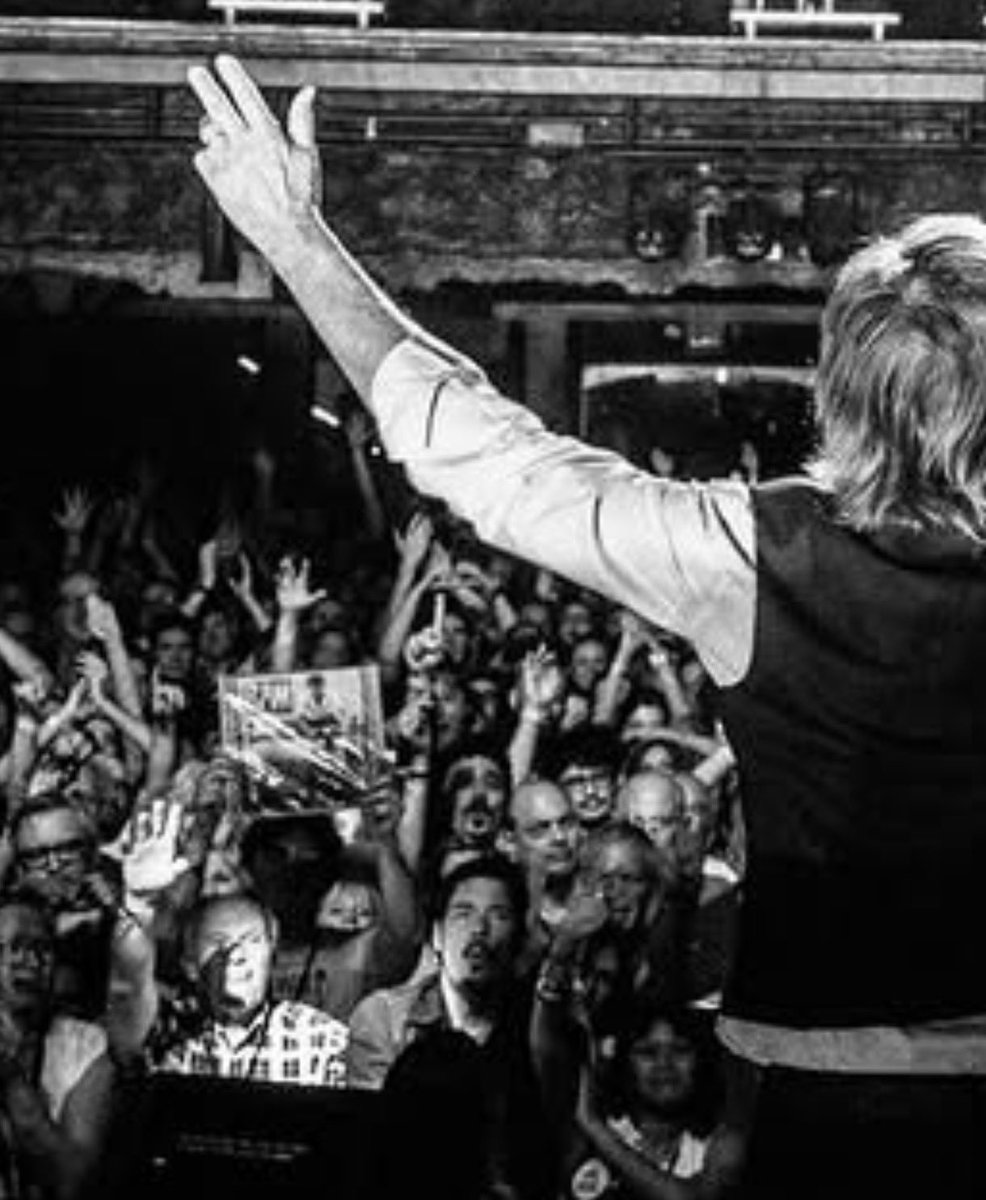 peter lane tweet media