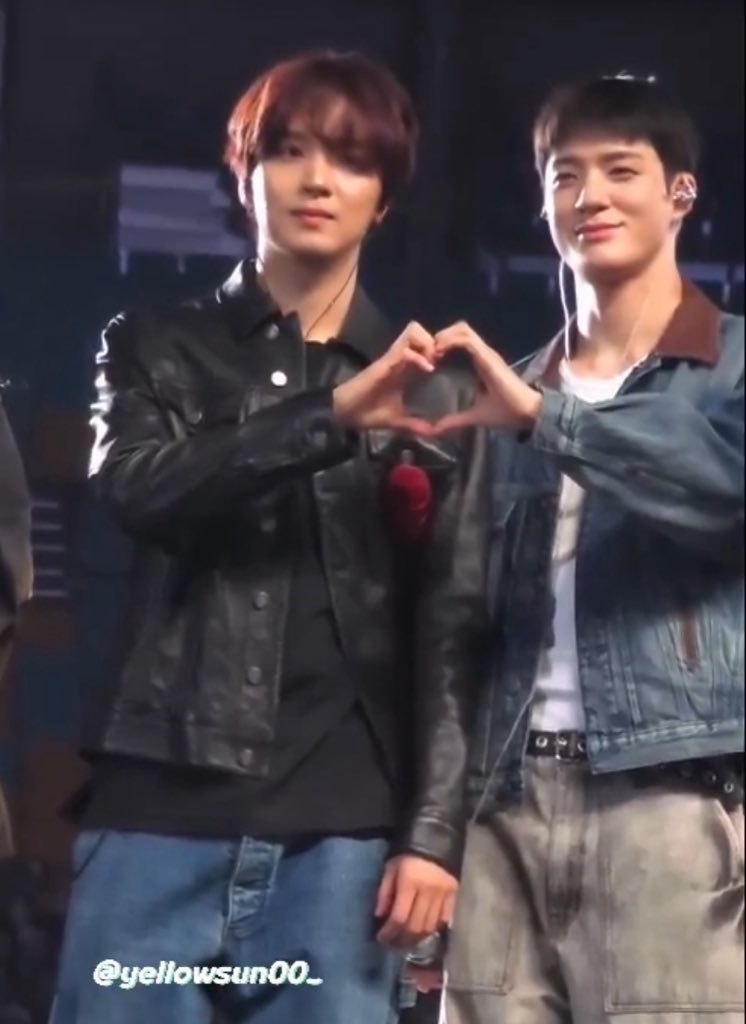 🐶🐻 tweet media