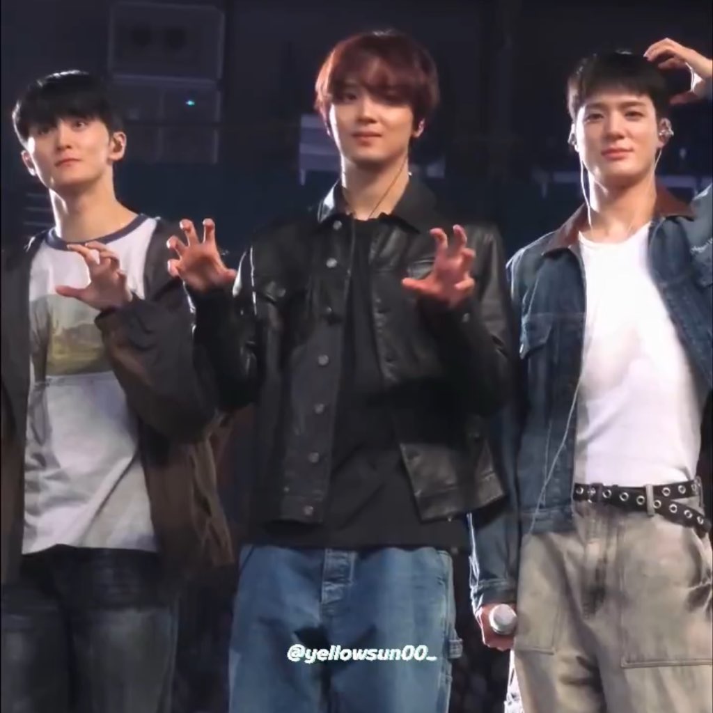 🐶🐻 tweet media