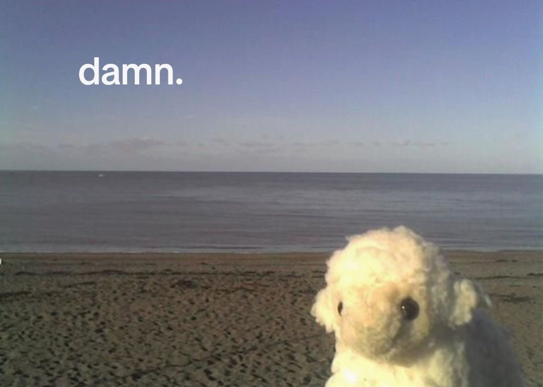 applepiebell tweet media