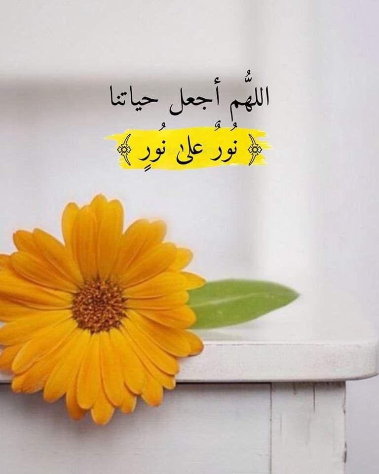 حــــنان💛 tweet media