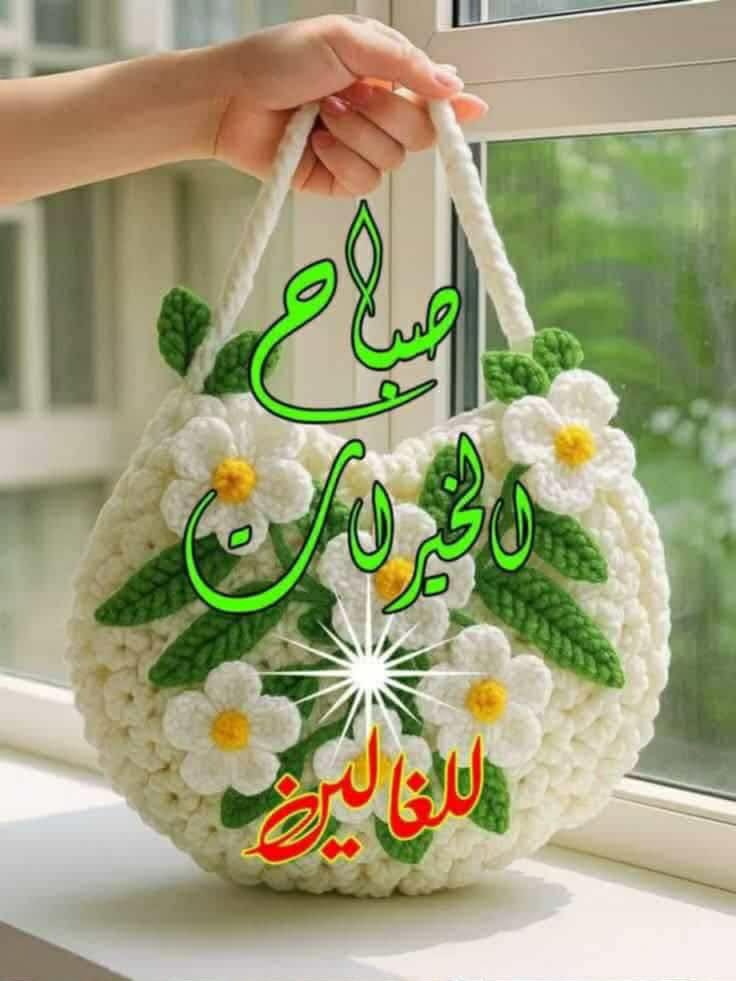 AYLA HASUN tweet media