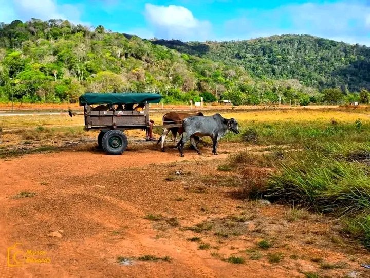 GRAND 🧢 tweet media