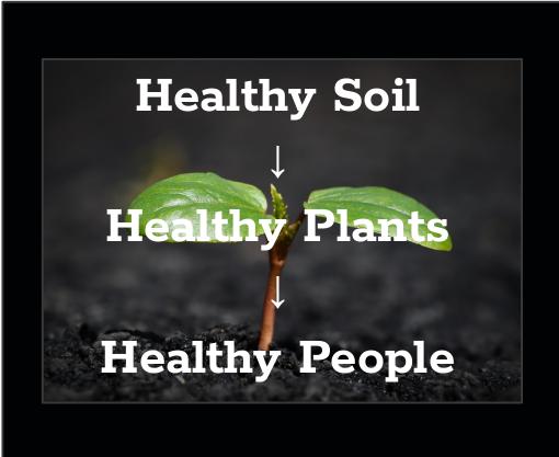 Wellness Connection tweet media