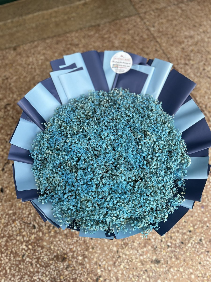 Alicia infinity roses tweet media