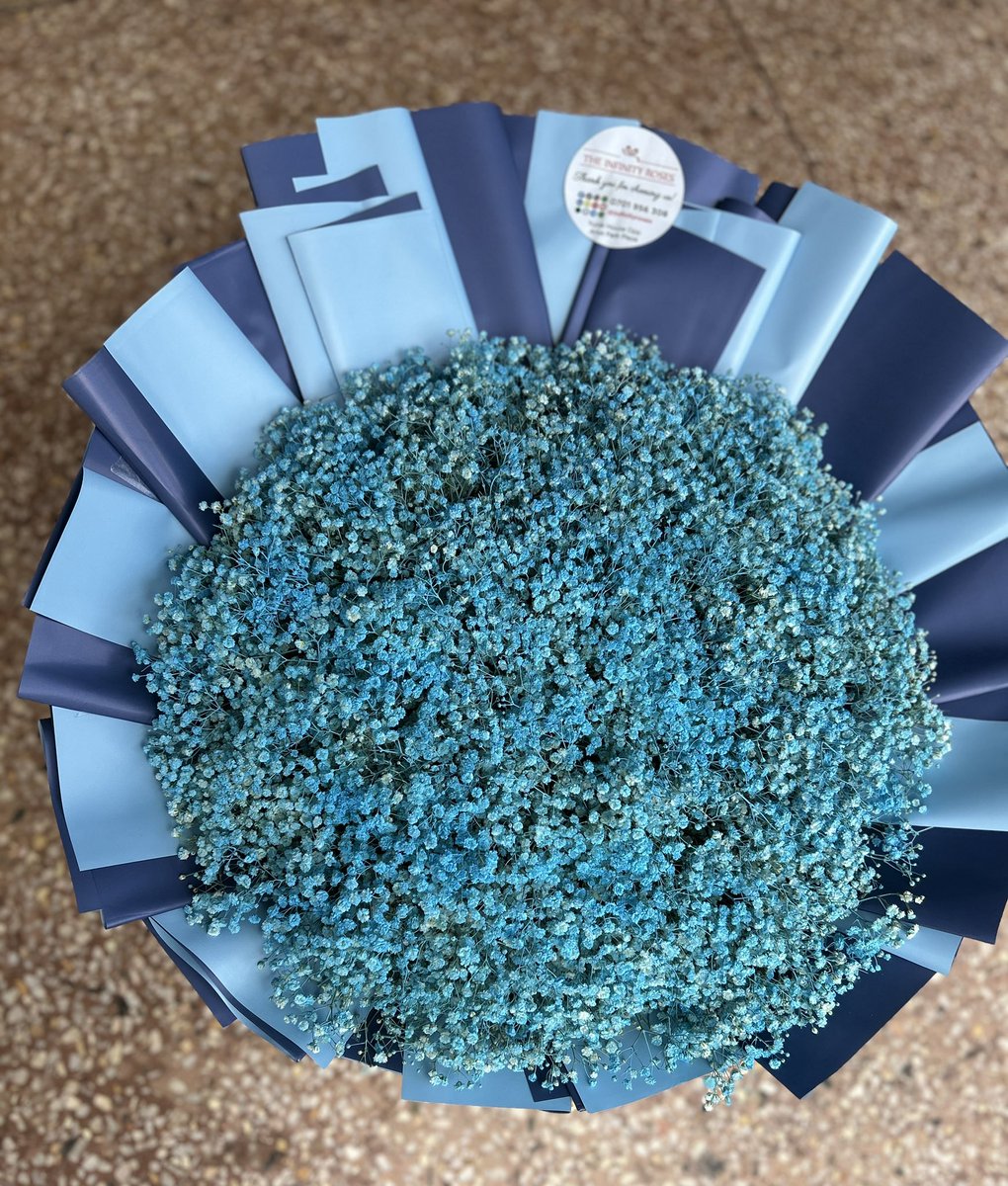 Alicia infinity roses tweet media