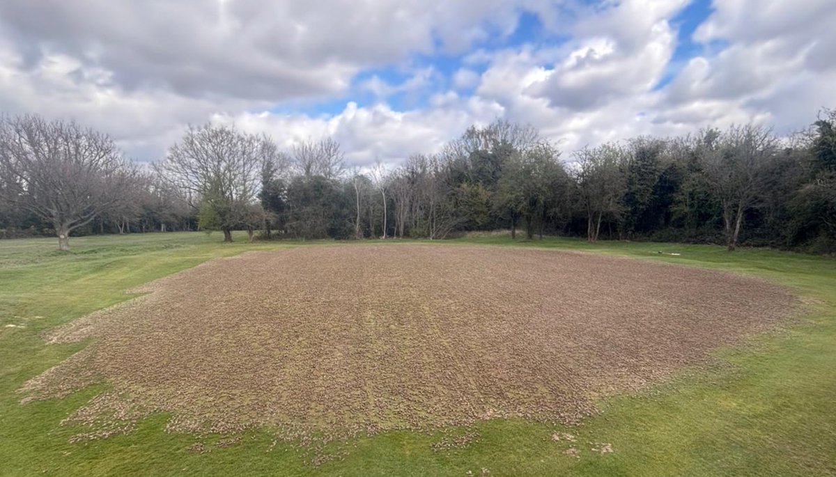 Banstead Downs Golf tweet media