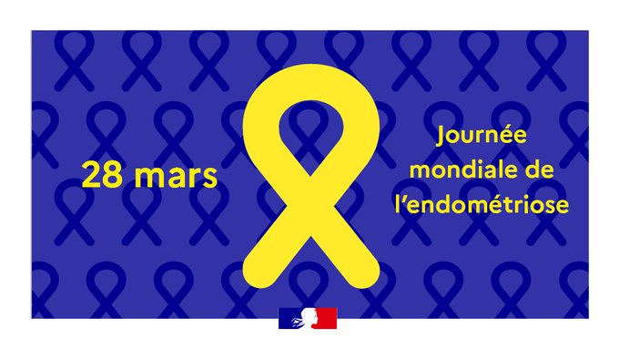 Image de Préfet des Côtes-d'Armor - 📆 Le 28 mars, Journée mondiale de l'endométriose pour sensibiliser et agir pour les droits des femm