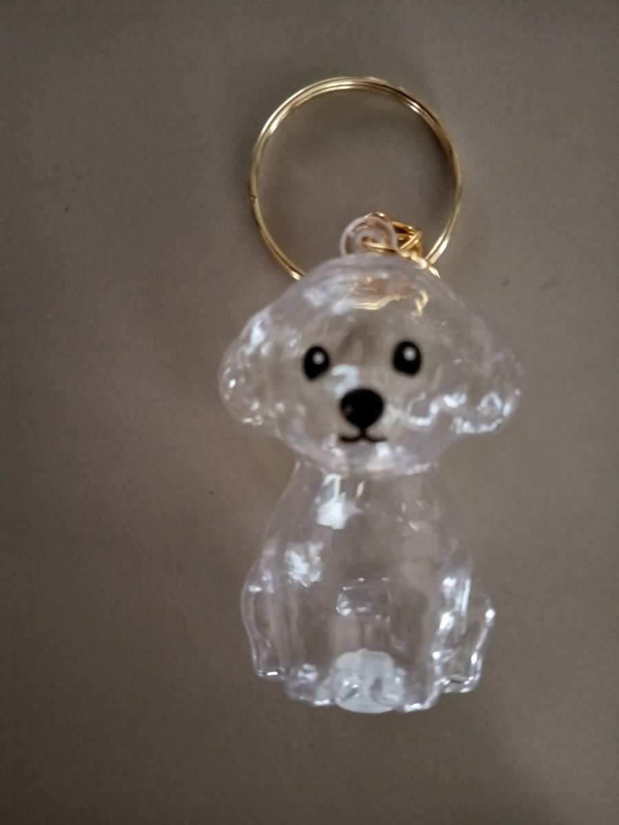 おばちゃん tweet media