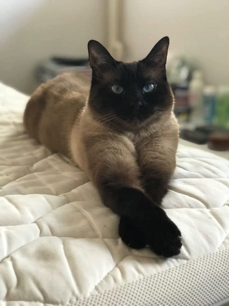 Sara Mary ⭐❤️ tweet media