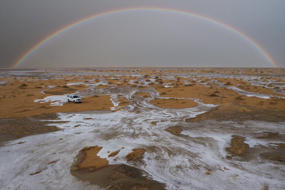 سيّاف دَشِن | Sayaf Dashen tweet media