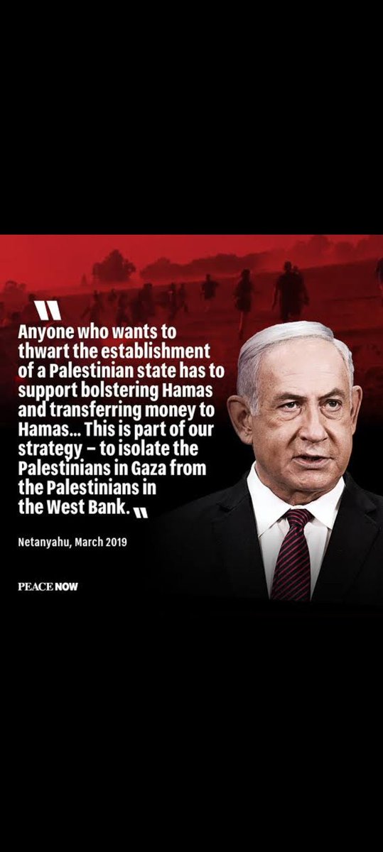 Zgomot din Fundal tweet media