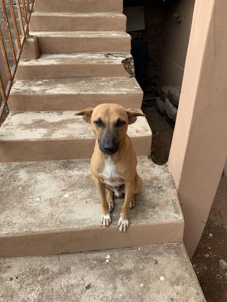 Dawood🇰🇪🇸🇦 tweet media