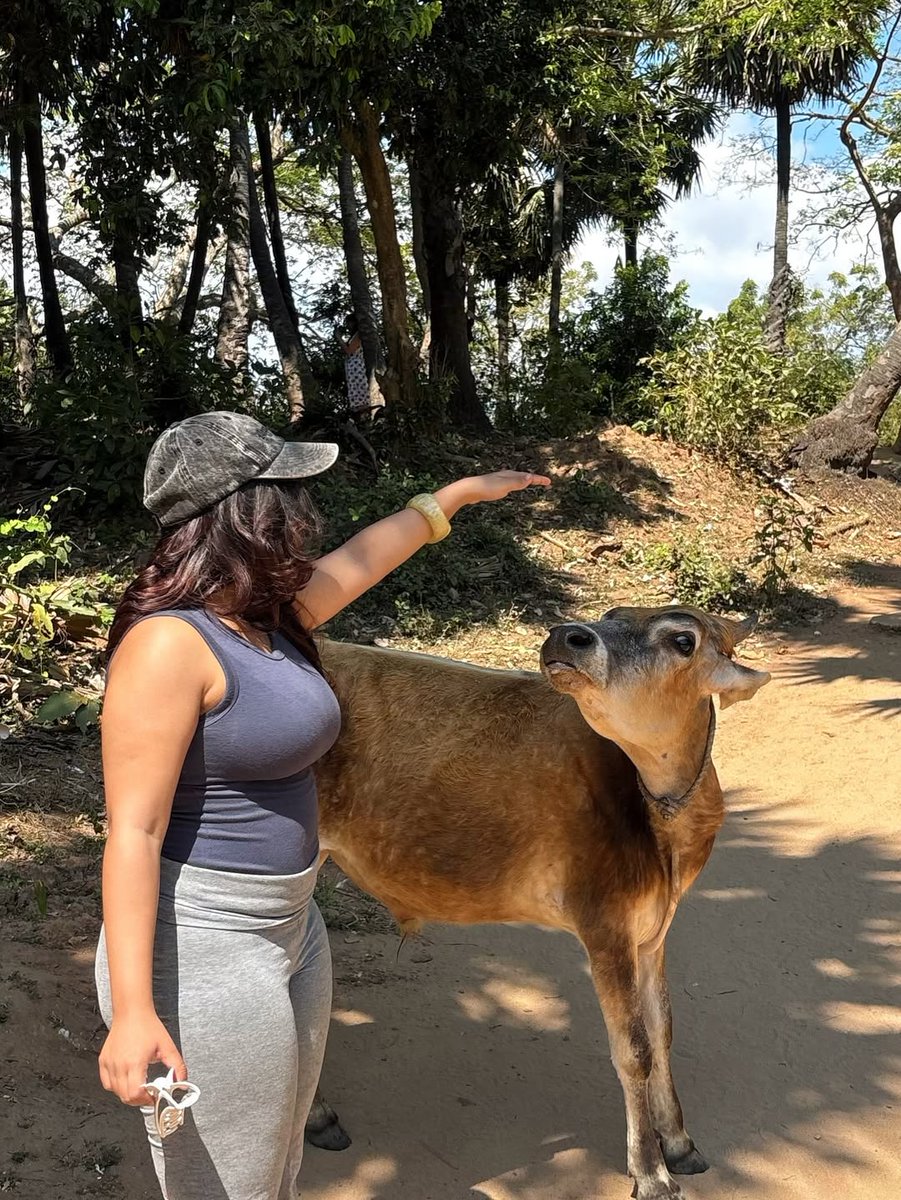 Aadthia's tweet photo. which cow is your favorite ? https://t.co/m1hvuacNos