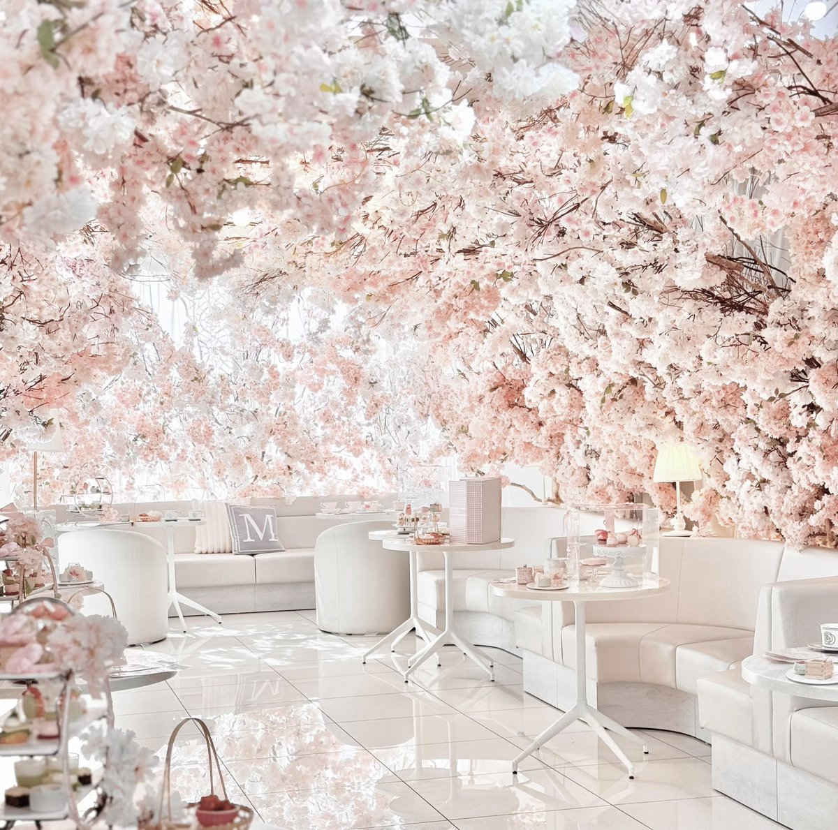 🎀🧸Ginger Garden AOYAMA ジンジャーガーデン tweet media