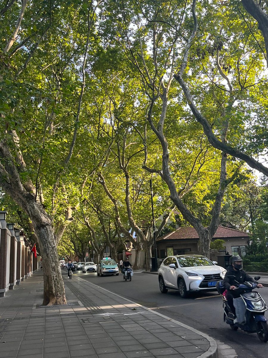 Samantha Withall tweet media