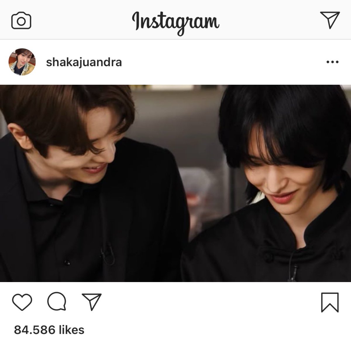 🦉🍯 tweet media