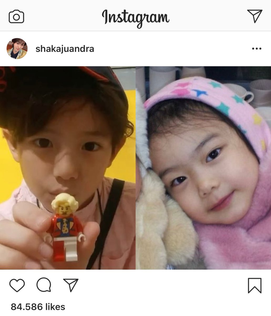 🦉🍯 tweet media