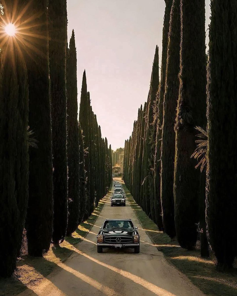 The Mozinity tweet media