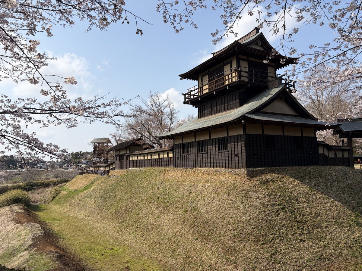 ガンビー（銃蜂） tweet media