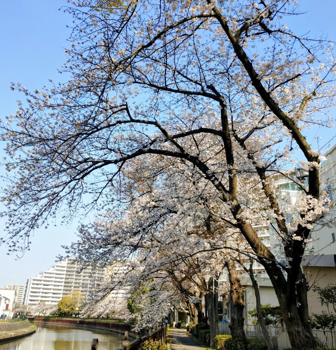 なお🩵🩸🩷😈🌹🐥 tweet media