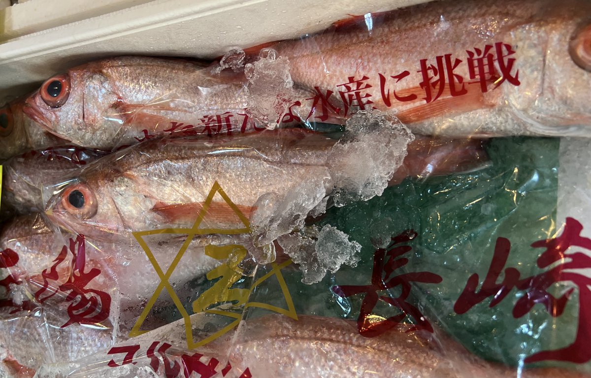 みけ♪猫好き tweet media