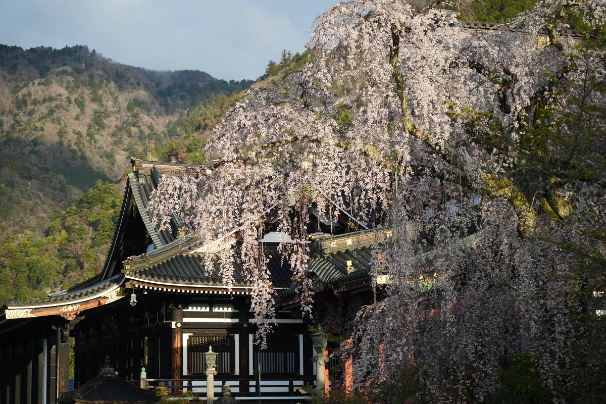 もりぞー tweet media