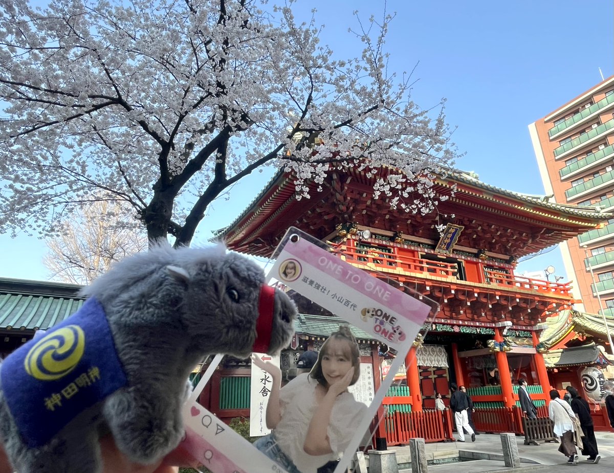 🌸🐴⛩️ #もよちゃん健康