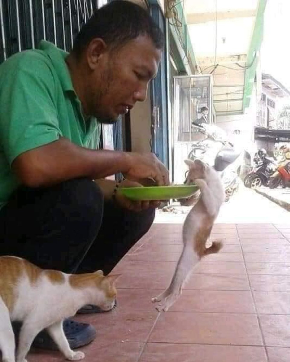 TEMAN KOMPLEK tweet media