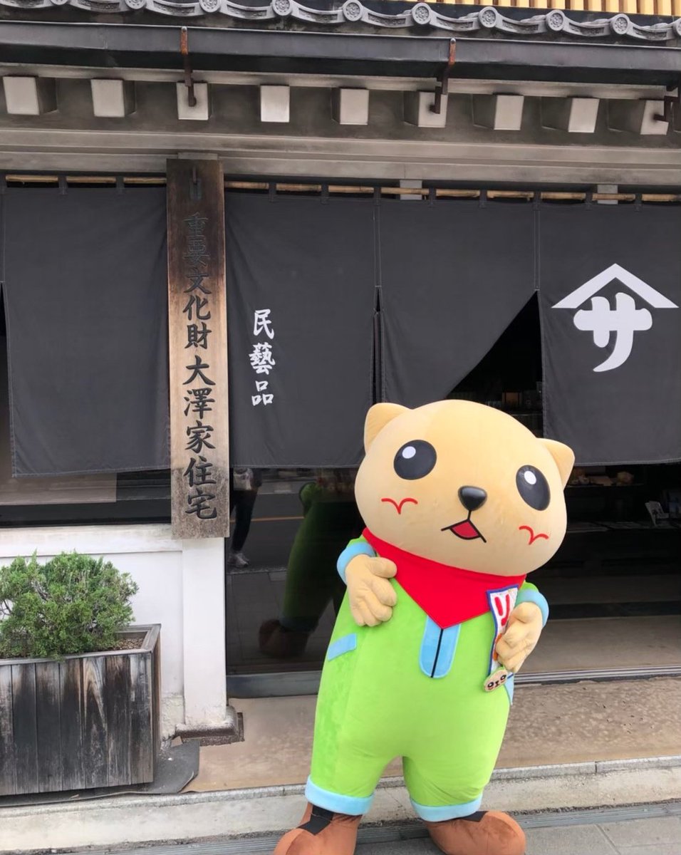 りっぴー(ウサギ) tweet media