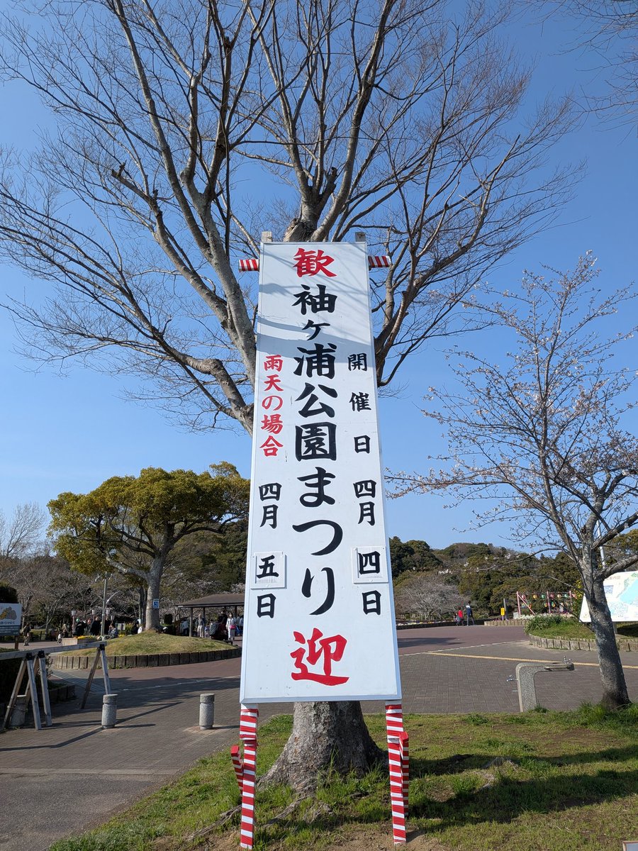 sodegaurakanko's tweet photo. #袖ケ浦公園 の #桜 の開花状況です🌸
（令和8年3月28日撮影）

もうすぐ、満開だぁ！
楽しみ楽しみ〜
そして、令和8年4月4日には、桜まつりが開催されますょ✨️
是非、お花見にいきましょう😆
（詳細→https://t.co/TnC6TnDXF9）

晴れますように♡
　　
#お花見スポット　
#袖ケ浦市観光協会 https://t.co/cpty1JEZiK