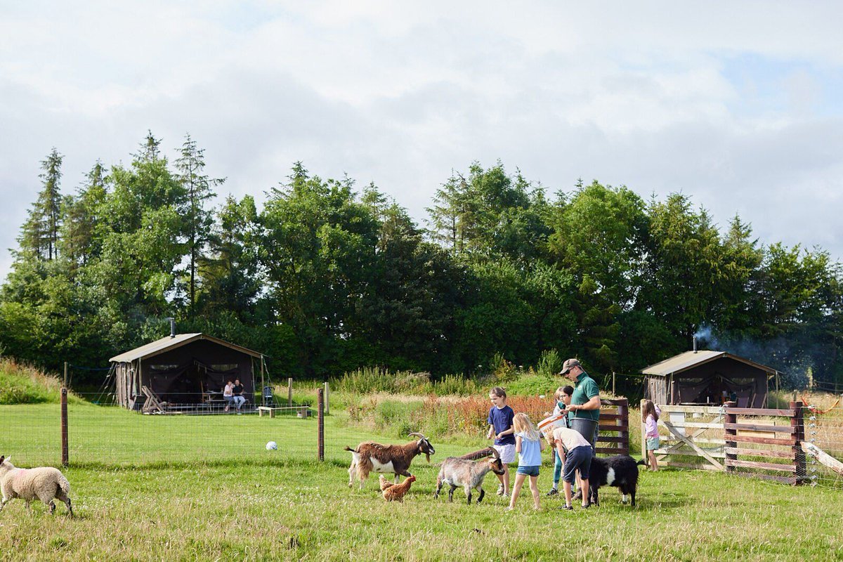 KampeerMagazine.nl tweet media