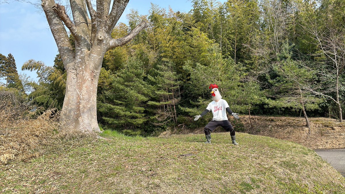 いけちか🌱能登町産 tweet media