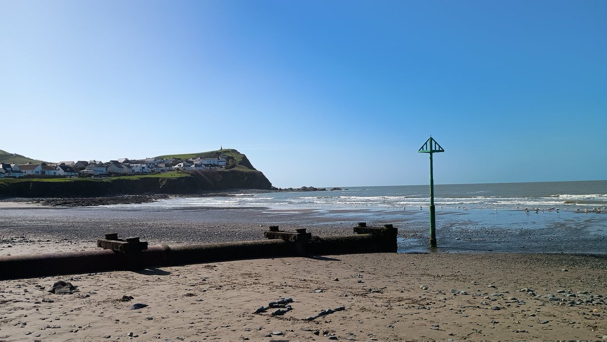 BrexitDuck tweet media