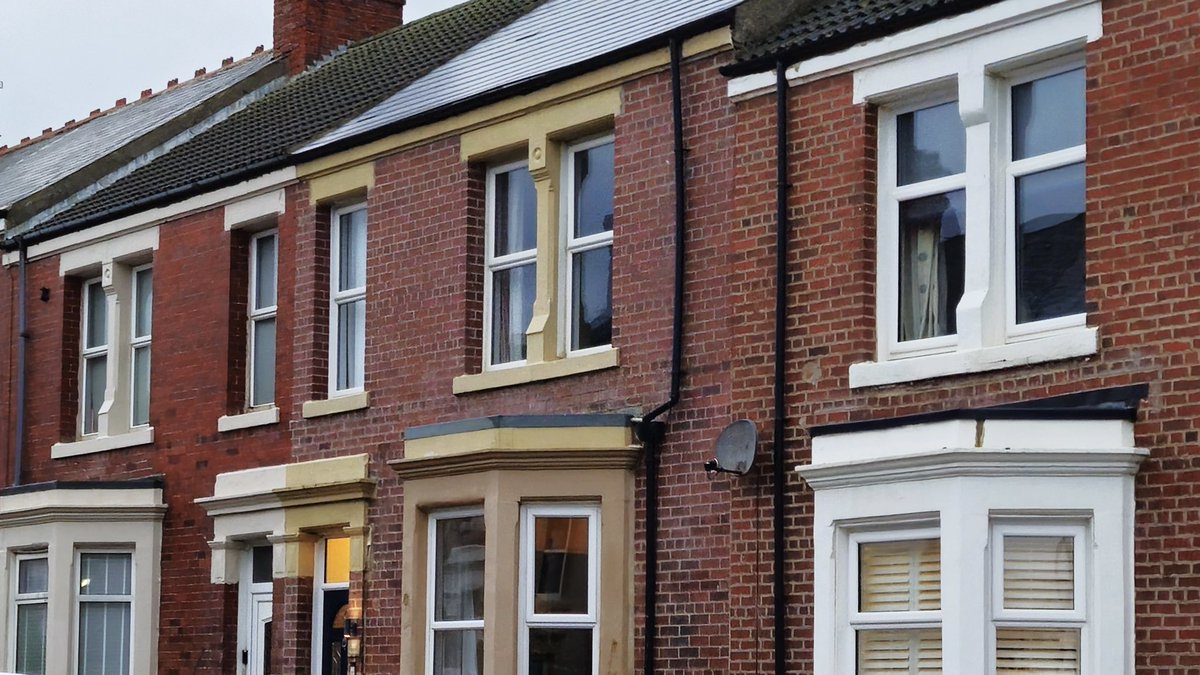 藍色雨 tweet media