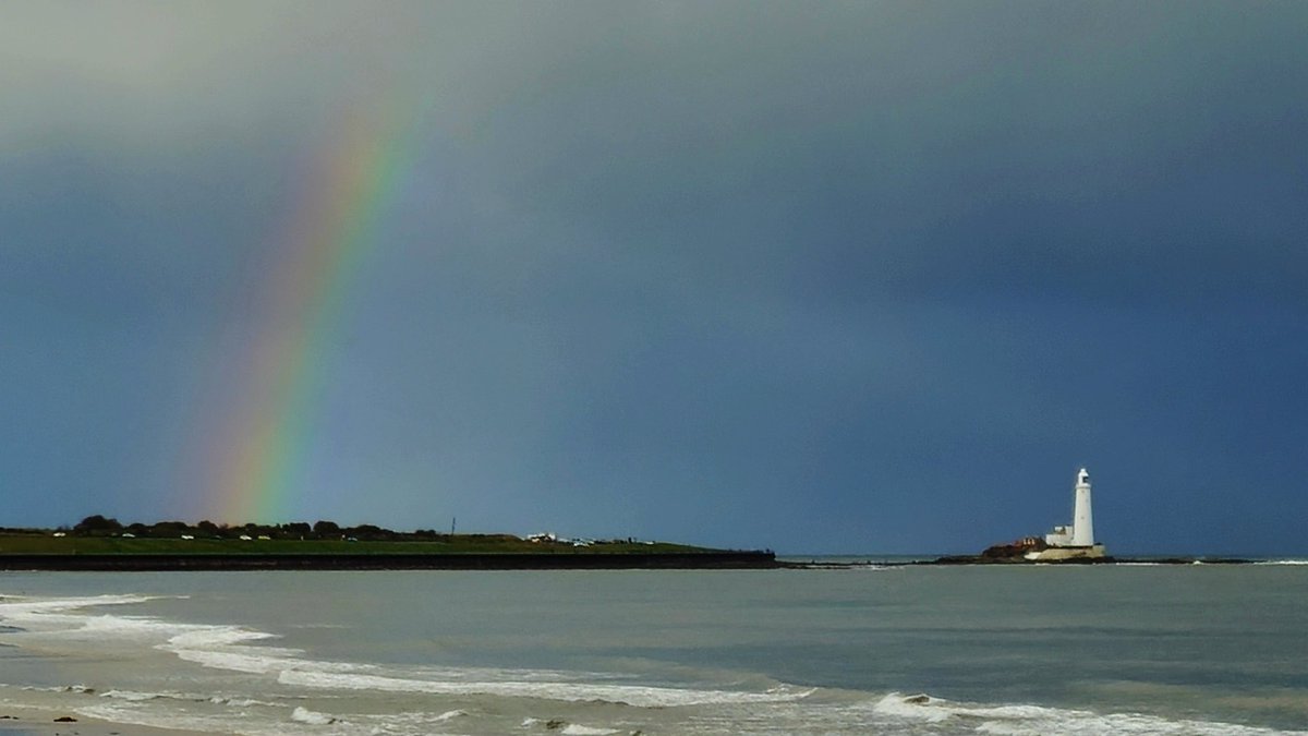 藍色雨 tweet media