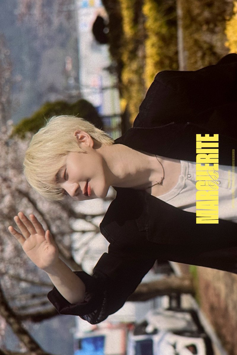 MARGUERITE tweet media