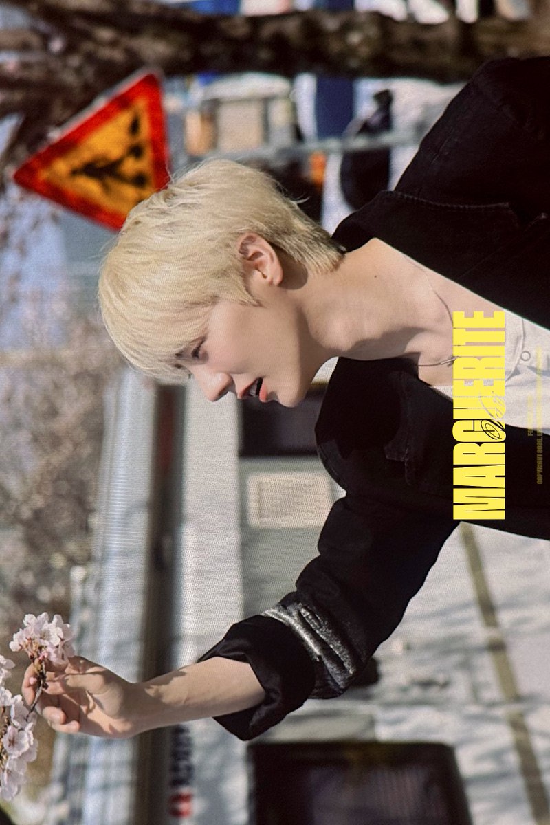 MARGUERITE tweet media