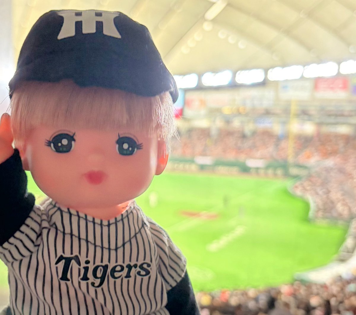 やきゅう みにきたよ⚾️