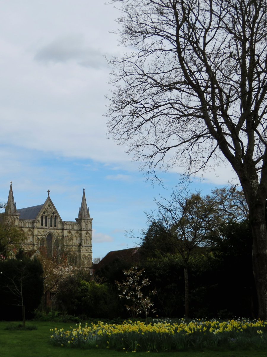 藍色雨 tweet media