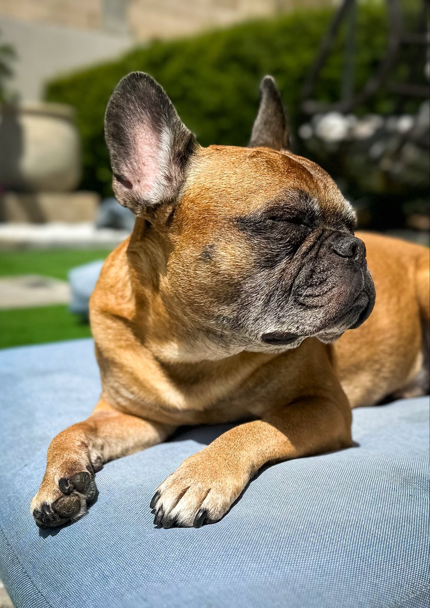 Pinot & Merlot tweet media