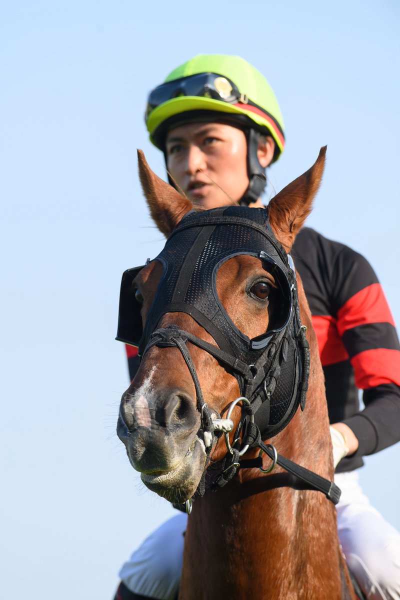 ใใ๐ซง๐ชผ tweet media