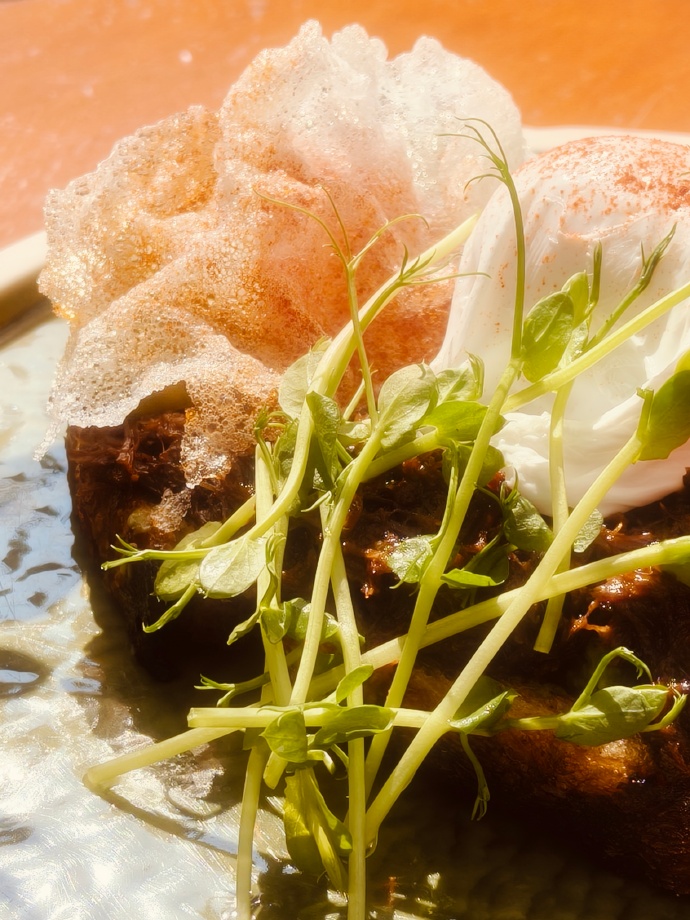 Tiffany Rael tweet media