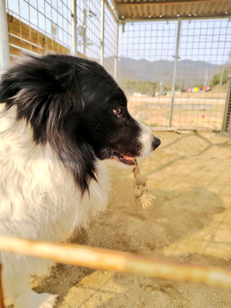 いなべモータースポーツランド公式 tweet media