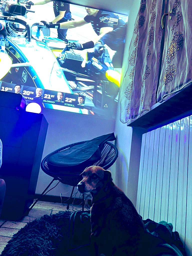 Nik 🇪🇺🇮🇱 🇺🇦 tweet media