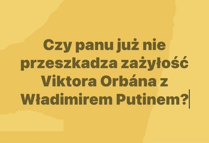 anielska cierpliwosc tweet media
