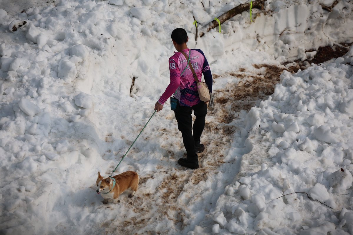 Kazutaka Inoue photo account tweet media