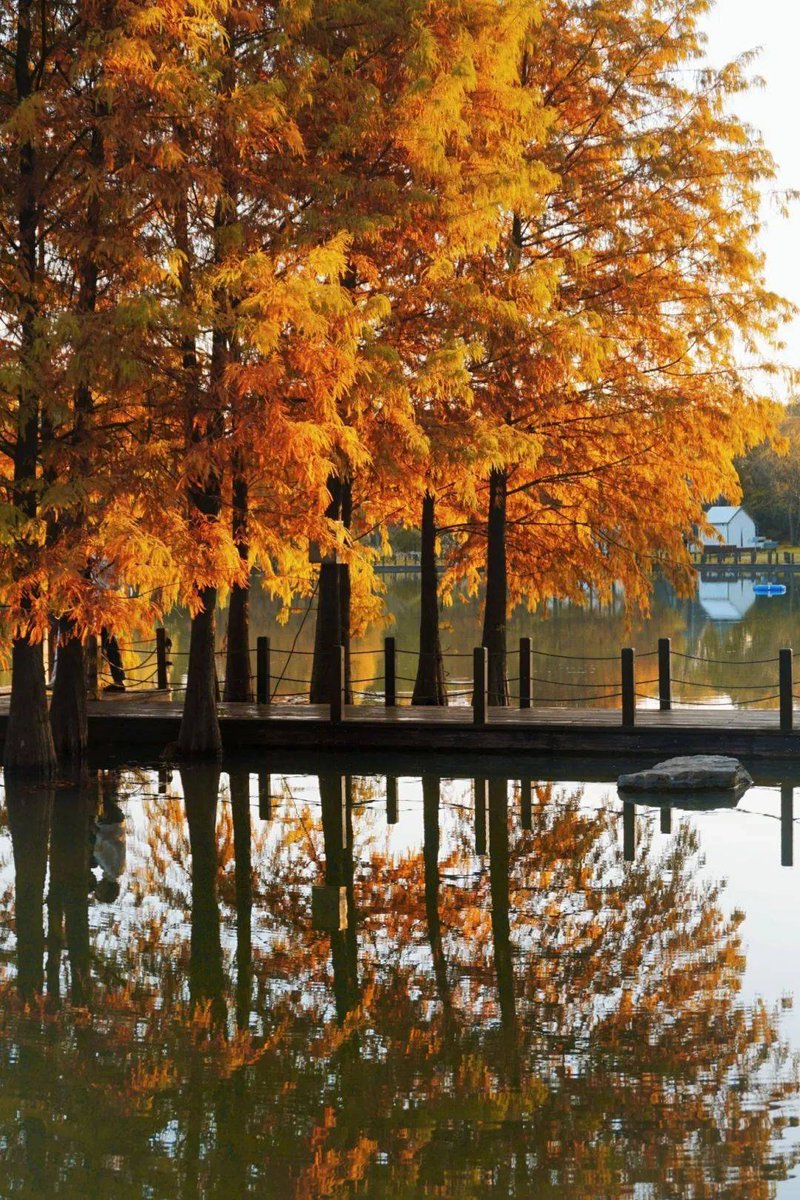 cesil reynald tweet media