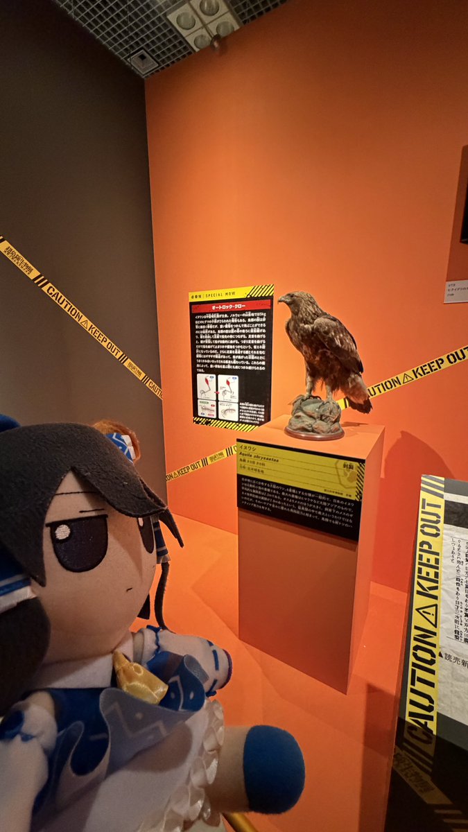 ふもふも幻想郷/Fumo JP Server tweet media